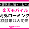 楽天モバイルの海外ローミングで高額請求は大丈夫？